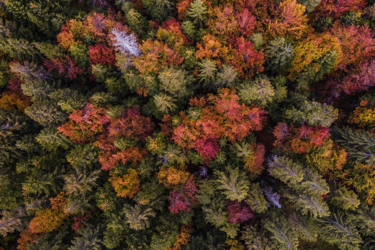 autunno